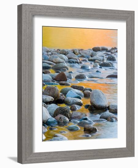 Fall Reflections Among the Cobblestones in the Saco River, White Mountains, New Hampshire, USA-Jerry & Marcy Monkman-Framed Photographic Print