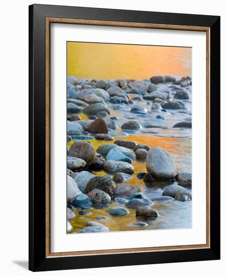 Fall Reflections Among the Cobblestones in the Saco River, White Mountains, New Hampshire, USA-Jerry & Marcy Monkman-Framed Photographic Print