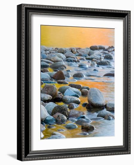 Fall Reflections Among the Cobblestones in the Saco River, White Mountains, New Hampshire, USA-Jerry & Marcy Monkman-Framed Photographic Print