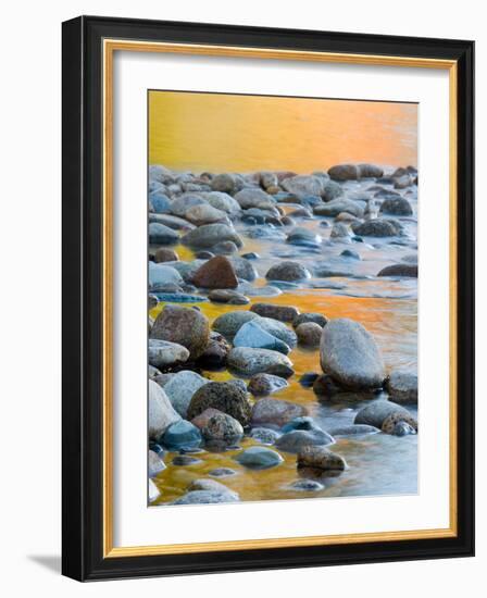 Fall Reflections Among the Cobblestones in the Saco River, White Mountains, New Hampshire, USA-Jerry & Marcy Monkman-Framed Photographic Print