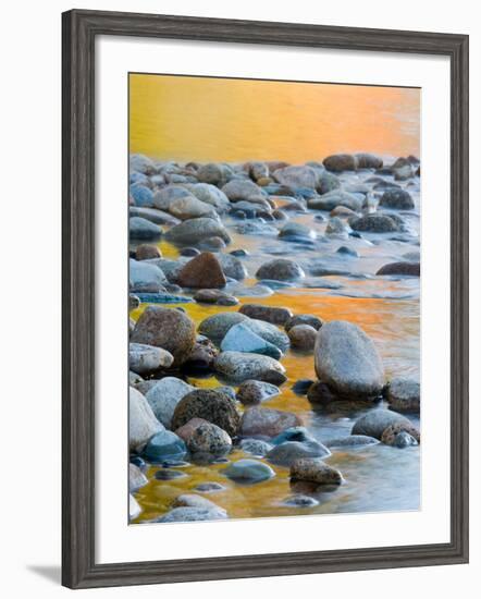 Fall Reflections Among the Cobblestones in the Saco River, White Mountains, New Hampshire, USA-Jerry & Marcy Monkman-Framed Photographic Print