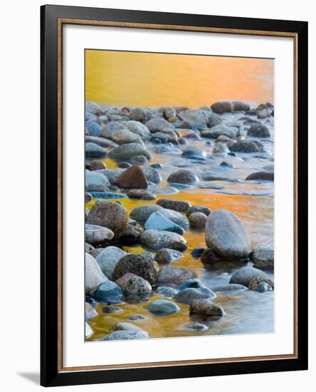 Fall Reflections Among the Cobblestones in the Saco River, White Mountains, New Hampshire, USA-Jerry & Marcy Monkman-Framed Photographic Print