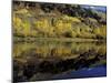 Fall Reflections in Pond, Telluride, Colorado, USA-Cindy Miller Hopkins-Mounted Photographic Print
