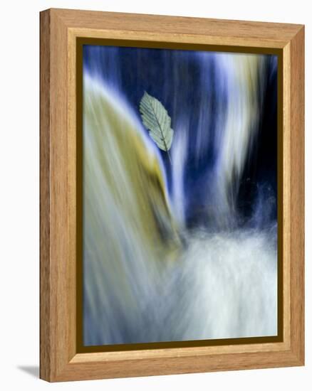 Fall Reflections in Water, Adirondacks, New York, USA-Nancy Rotenberg-Framed Premier Image Canvas