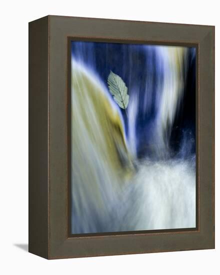 Fall Reflections in Water, Adirondacks, New York, USA-Nancy Rotenberg-Framed Premier Image Canvas