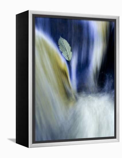 Fall Reflections in Water, Adirondacks, New York, USA-Nancy Rotenberg-Framed Premier Image Canvas