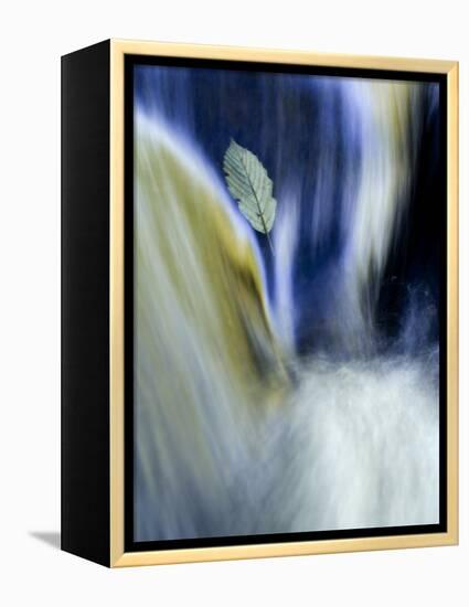 Fall Reflections in Water, Adirondacks, New York, USA-Nancy Rotenberg-Framed Premier Image Canvas