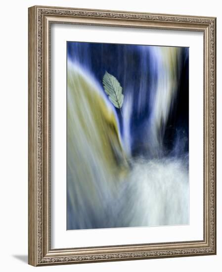 Fall Reflections in Water, Adirondacks, New York, USA-Nancy Rotenberg-Framed Photographic Print