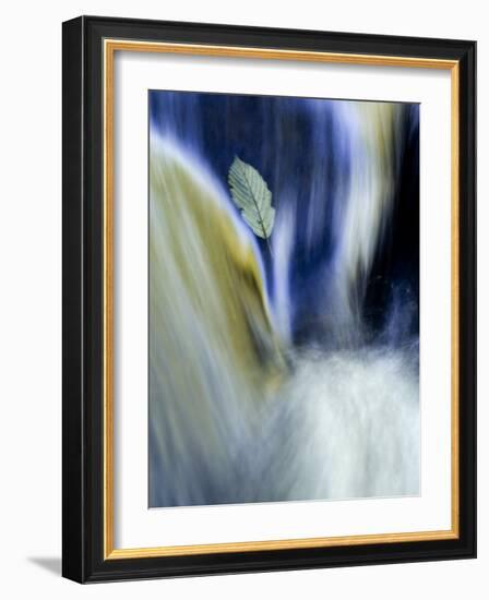 Fall Reflections in Water, Adirondacks, New York, USA-Nancy Rotenberg-Framed Photographic Print