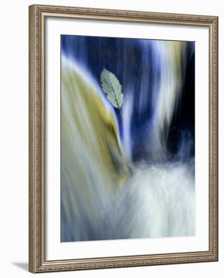 Fall Reflections in Water, Adirondacks, New York, USA-Nancy Rotenberg-Framed Photographic Print