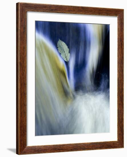 Fall Reflections in Water, Adirondacks, New York, USA-Nancy Rotenberg-Framed Photographic Print