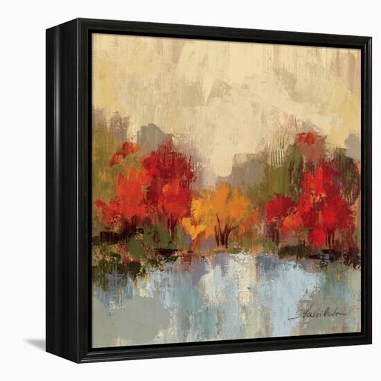 Fall Riverside I-Silvia Vassileva-Framed Stretched Canvas