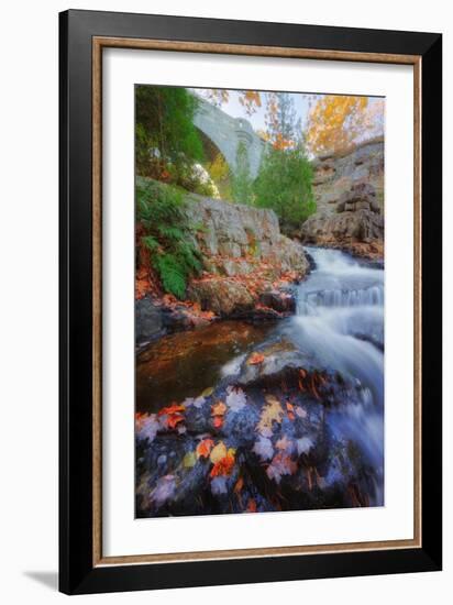 Fall Scene Under a Carriage Bridge-Vincent James-Framed Photographic Print