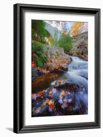 Fall Scene Under a Carriage Bridge-Vincent James-Framed Photographic Print