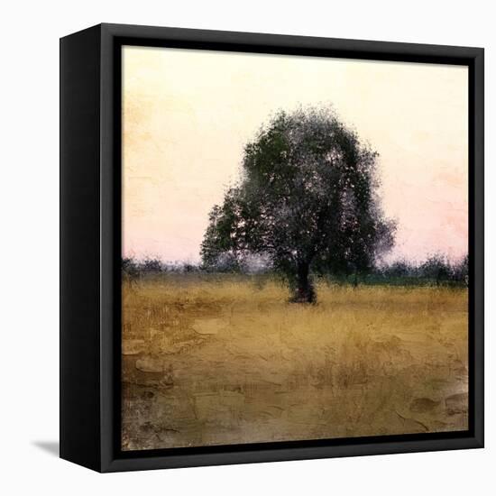 Fall Sky-Anne Bailey-Framed Stretched Canvas