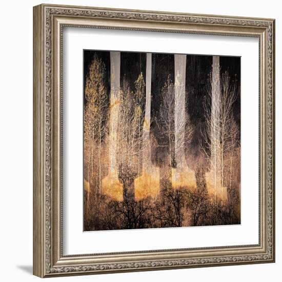 Fall Song-Ursula Abresch-Framed Premium Photographic Print