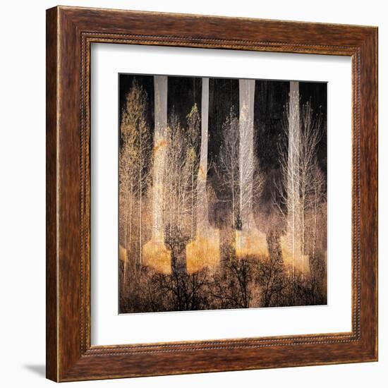 Fall Song-Ursula Abresch-Framed Premium Photographic Print