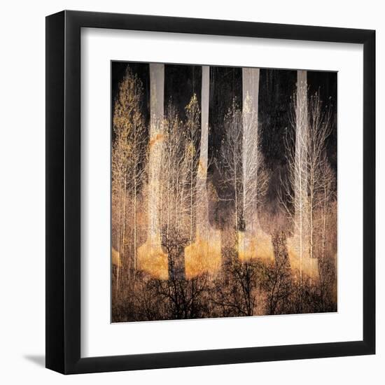 Fall Song-Ursula Abresch-Framed Premium Photographic Print