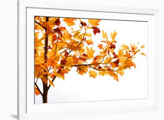 Fall Time-Philippe Sainte-Laudy-Framed Photographic Print