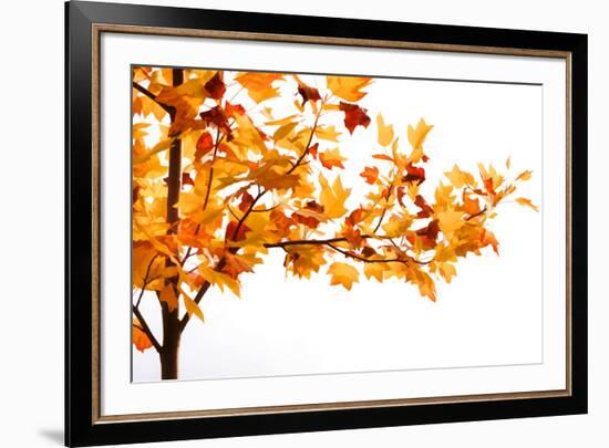 Fall Time-Philippe Sainte-Laudy-Framed Photographic Print