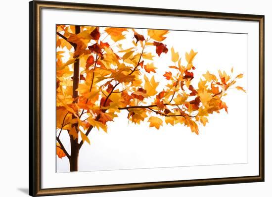 Fall Time-Philippe Sainte-Laudy-Framed Photographic Print