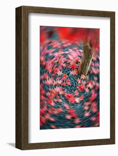 Fall Tourniquet-Philippe Sainte-Laudy-Framed Photographic Print