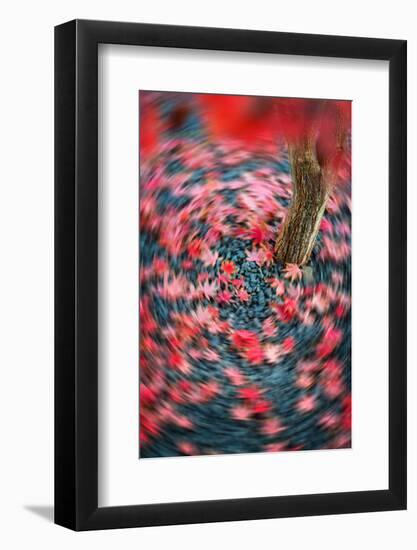 Fall Tourniquet-Philippe Sainte-Laudy-Framed Photographic Print