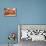 Fall Toys-Philippe Sainte-Laudy-Mounted Photographic Print displayed on a wall