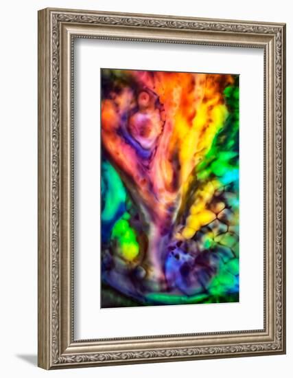 Fall Tree by Water-Ursula Abresch-Framed Photographic Print