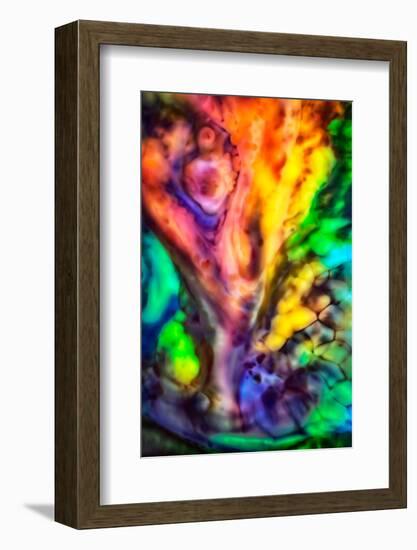 Fall Tree by Water-Ursula Abresch-Framed Photographic Print