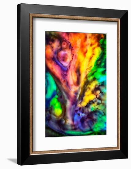 Fall Tree by Water-Ursula Abresch-Framed Photographic Print