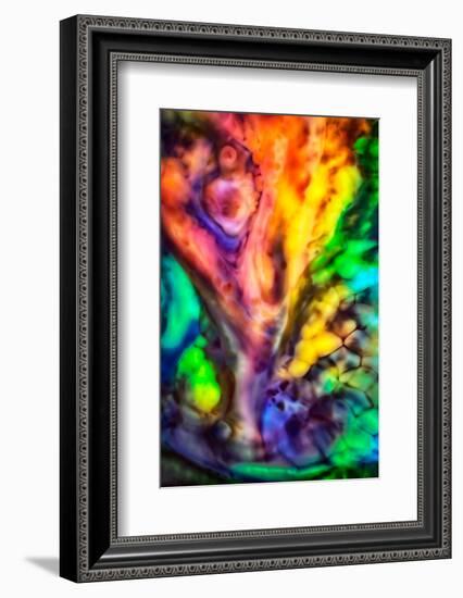 Fall Tree by Water-Ursula Abresch-Framed Photographic Print