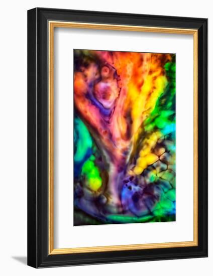 Fall Tree by Water-Ursula Abresch-Framed Photographic Print