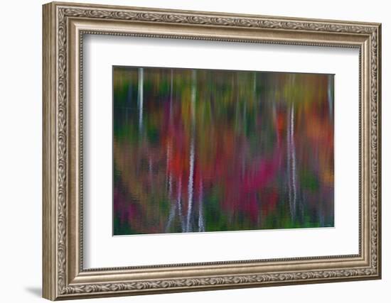 Fall Tree Reflections in Blackledge Pond-Mallorie Ostrowitz-Framed Photographic Print