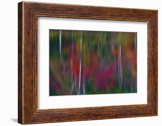 Fall Tree Reflections in Blackledge Pond-Mallorie Ostrowitz-Framed Photographic Print