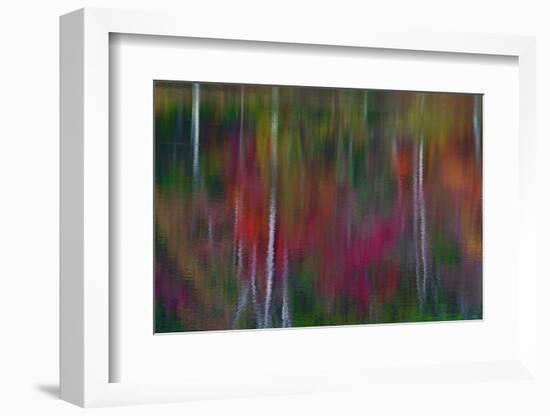 Fall Tree Reflections in Blackledge Pond-Mallorie Ostrowitz-Framed Photographic Print