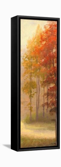 Fall Trees I-Michael Marcon-Framed Stretched Canvas