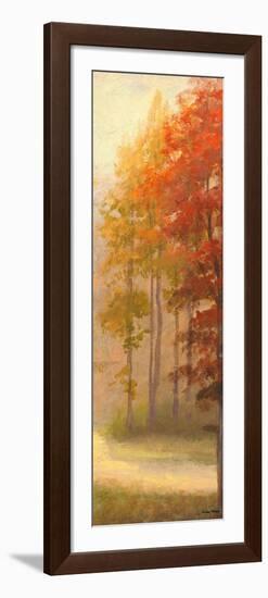 Fall Trees I-Michael Marcon-Framed Art Print