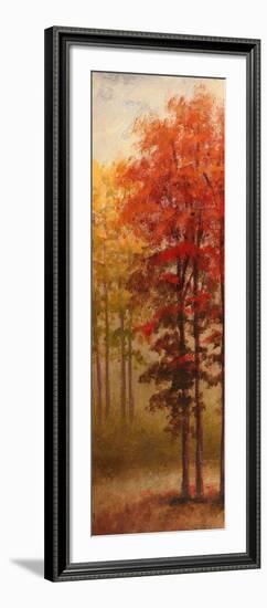 Fall Trees II-Michael Marcon-Framed Premium Giclee Print