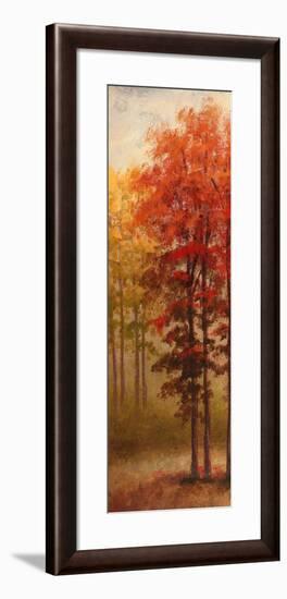 Fall Trees II-Michael Marcon-Framed Premium Giclee Print