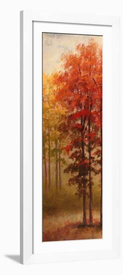 Fall Trees II-Michael Marcon-Framed Premium Giclee Print