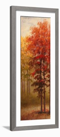 Fall Trees II-Michael Marcon-Framed Art Print