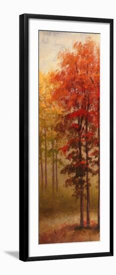 Fall Trees II-Michael Marcon-Framed Art Print