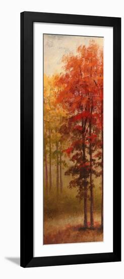 Fall Trees II-Michael Marcon-Framed Art Print