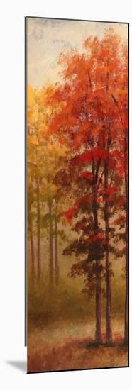 Fall Trees II-Michael Marcon-Mounted Art Print