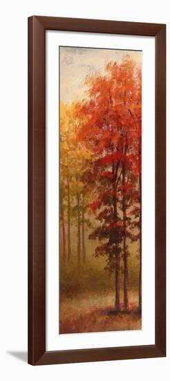 Fall Trees II-Michael Marcon-Framed Art Print