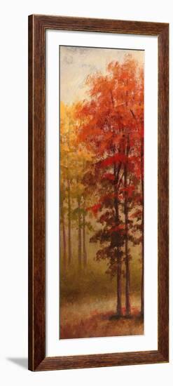 Fall Trees II-Michael Marcon-Framed Art Print