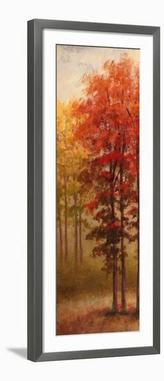 Fall Trees II-Michael Marcon-Framed Art Print