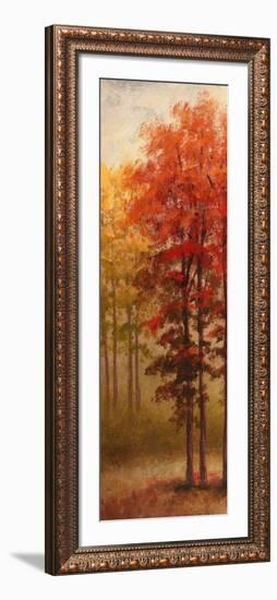 Fall Trees II-Michael Marcon-Framed Art Print