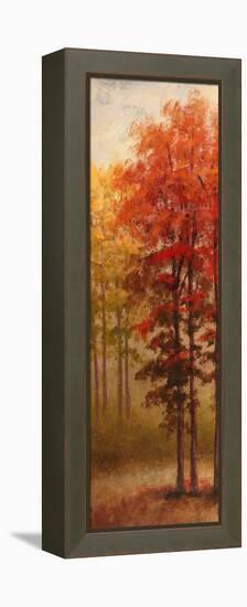 Fall Trees II-Michael Marcon-Framed Stretched Canvas